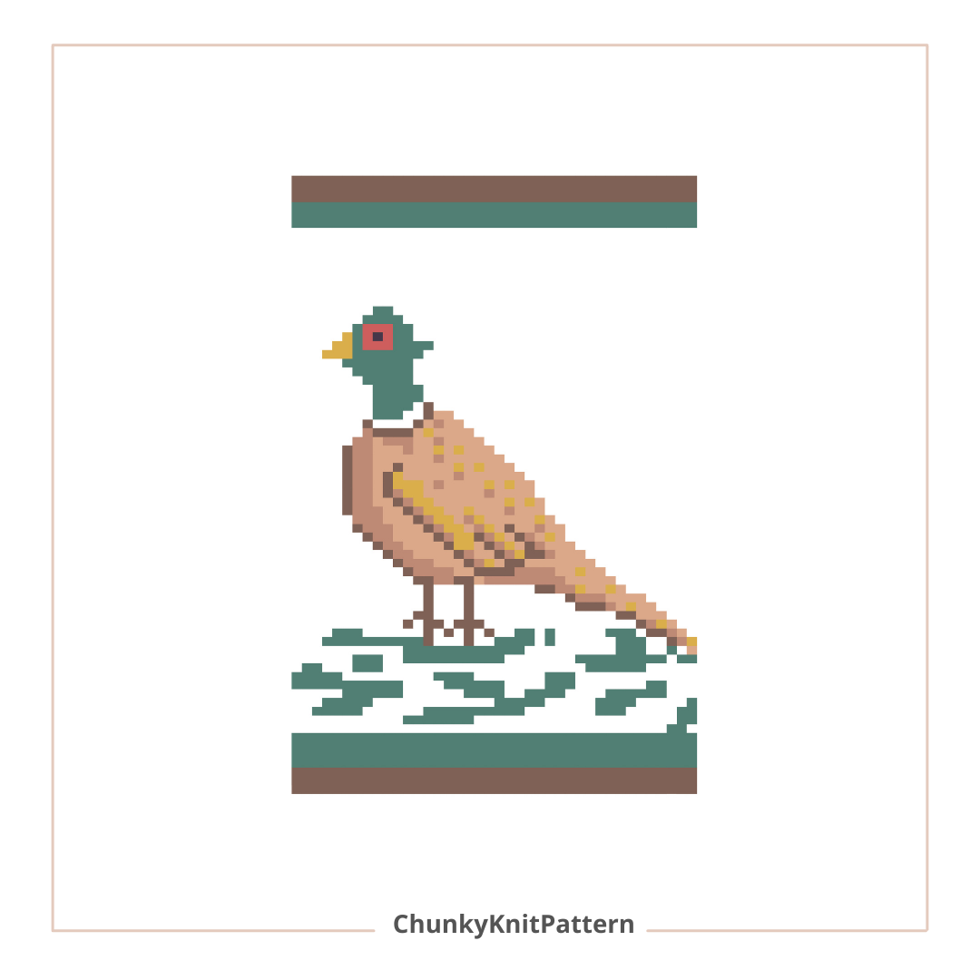Pheasant Chunky Knit Blanket Pattern PDF – Wildlife Bird Design for Thick Chenille Yarn
